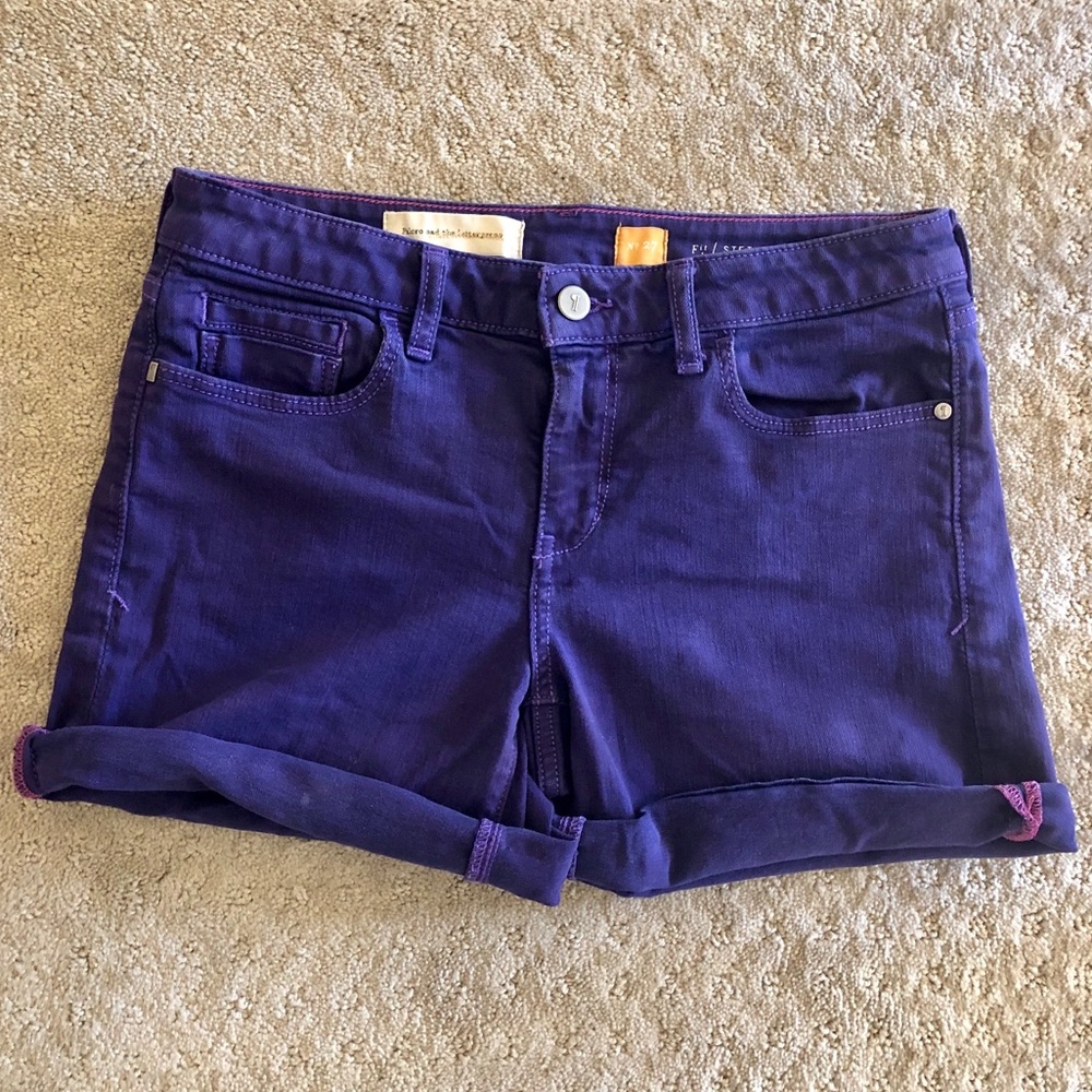 Anthro | Pilcro & the Letterpress Purple Shorts